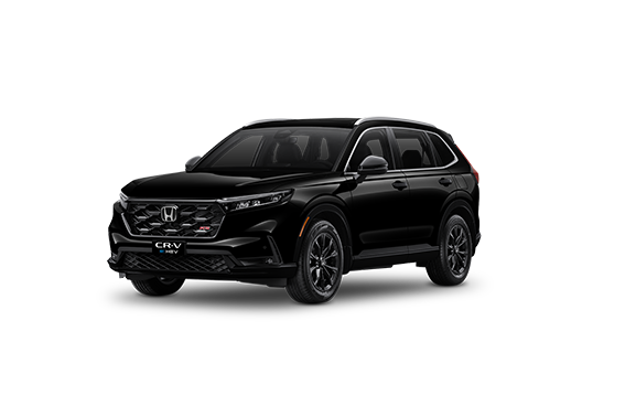 rs123crv